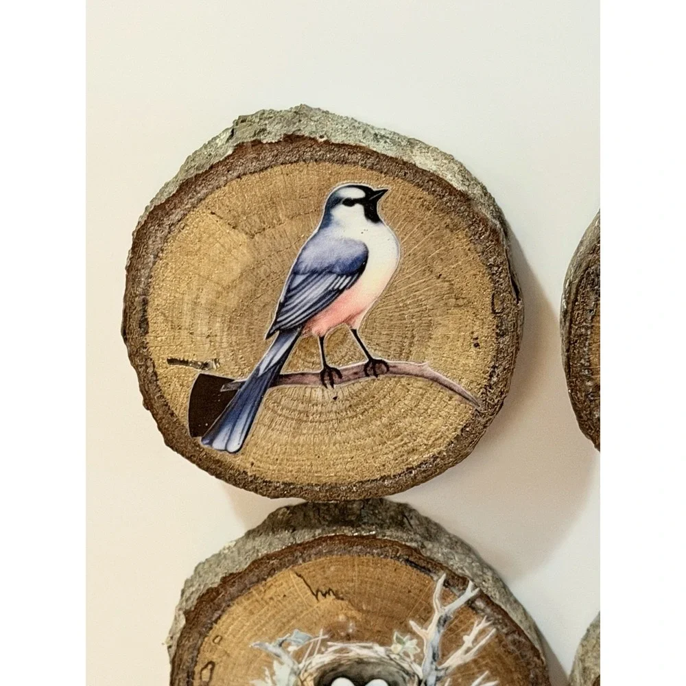 Set Of 4 Natural Oak Wood Bark Bird Magnets
